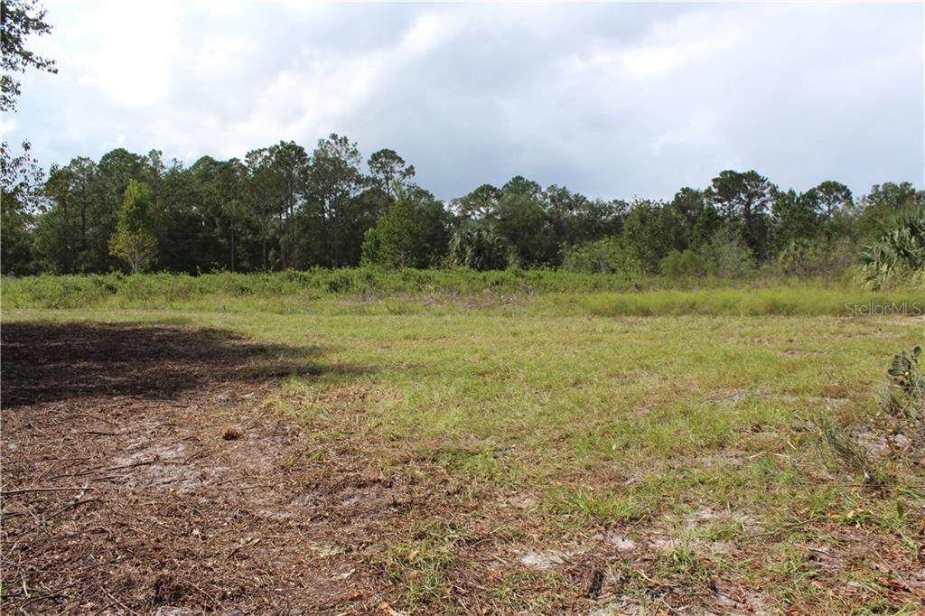Pine Meadows Golfcourse Road - Photo 1