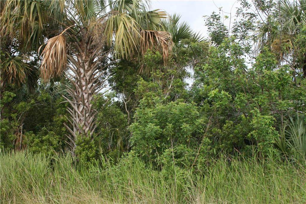 821 Kimberly Road - Photo 1