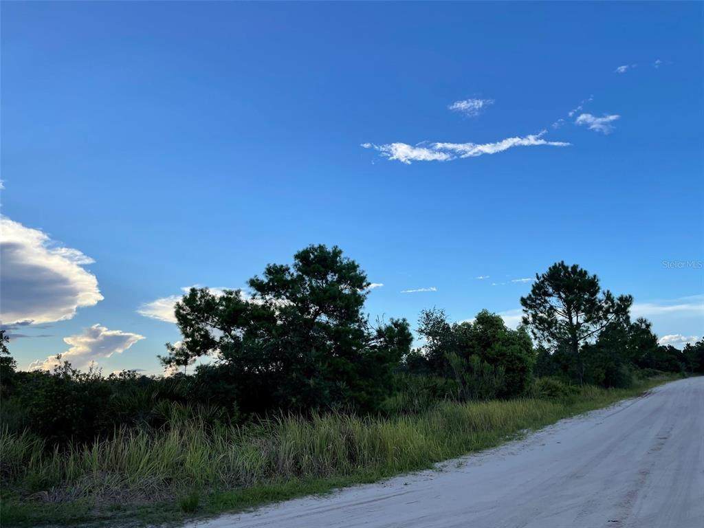 0 Old Homestead Street - Photo 1