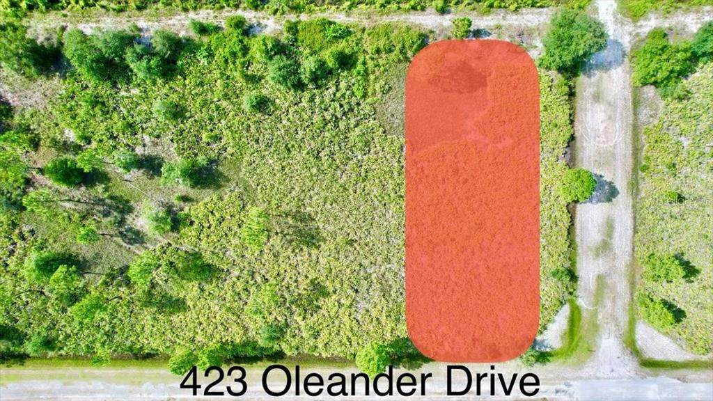 423 Oleander Drive - Photo 1