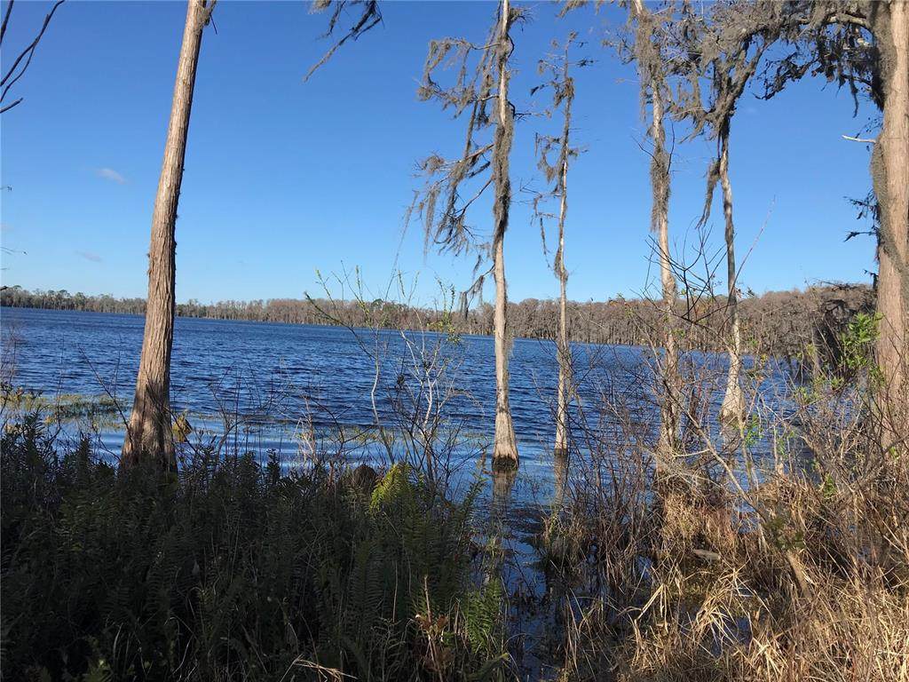 4950 Fort Christmas Road - Photo 1