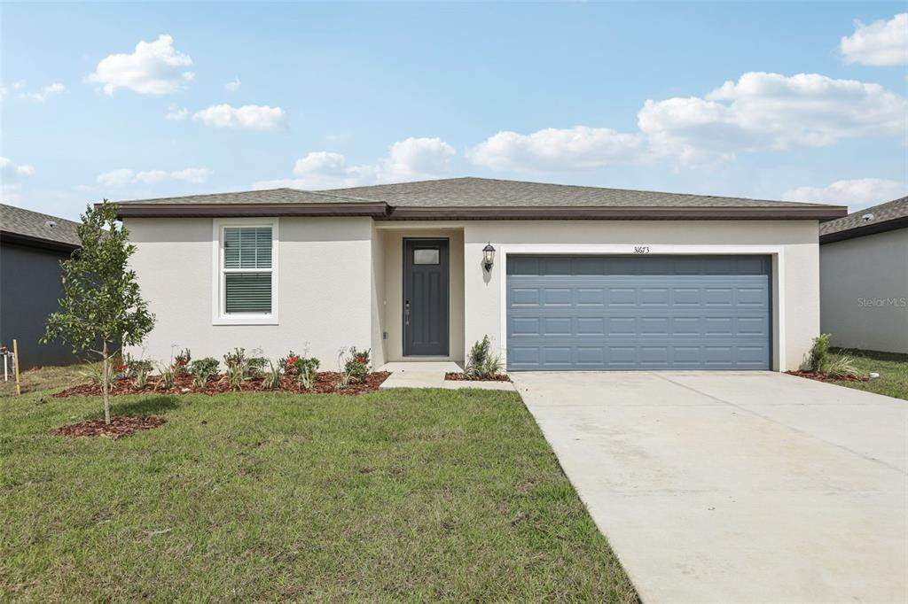 31673 Wild Grape Lane - Photo 1