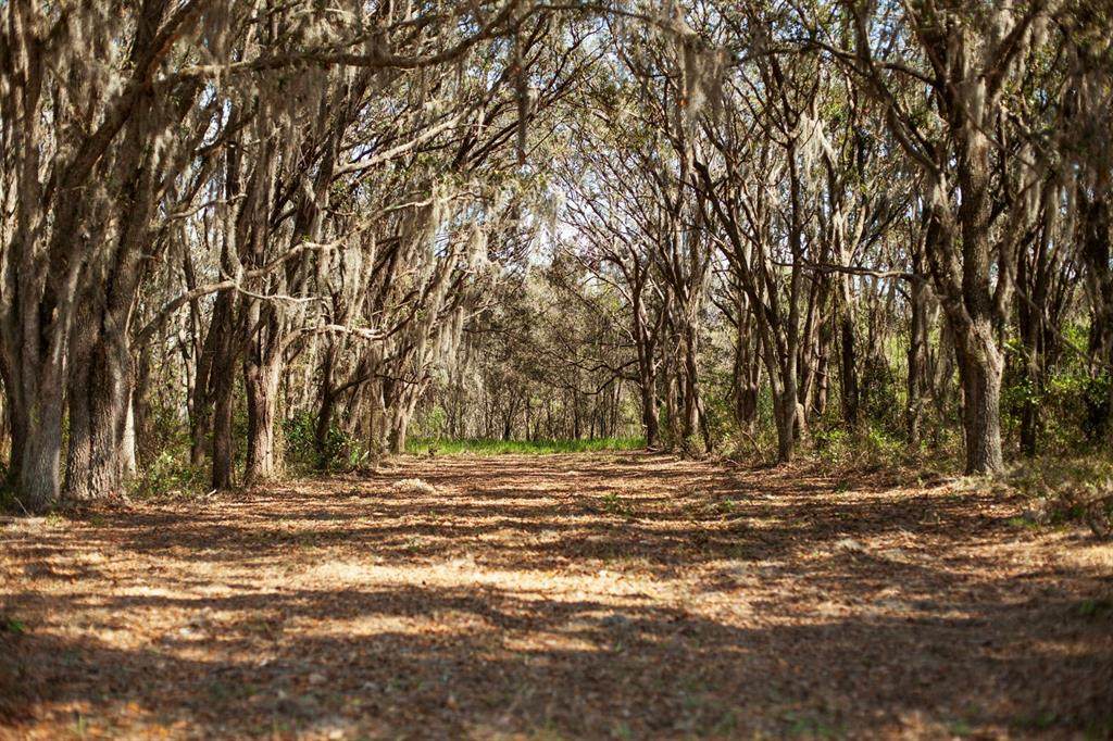 8000 Pine Island Road - Photo 1