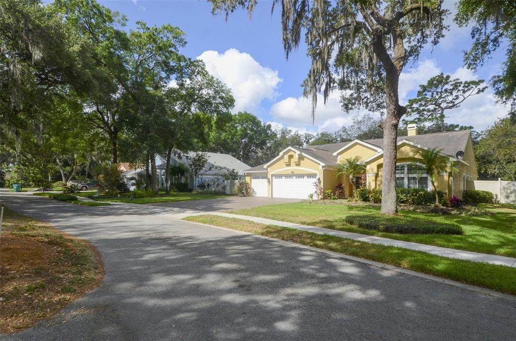 1006 Hanging Vine Point - Photo 1