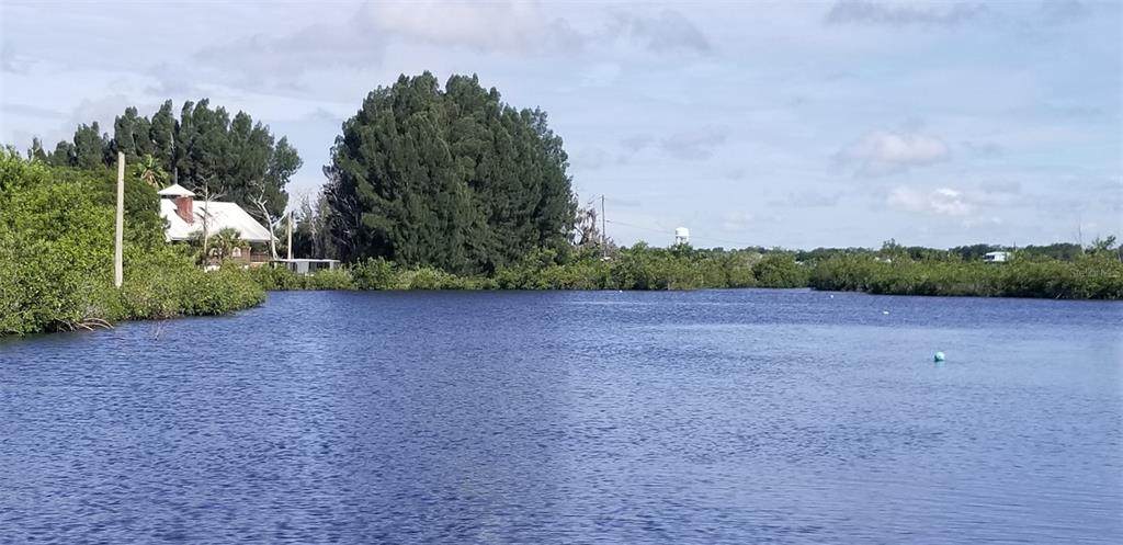 13835 Ricks Island - Photo 1