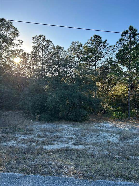 South Wind Court - Photo 1