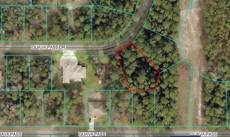Lot 26 Guava Pass Drive - Photo 1