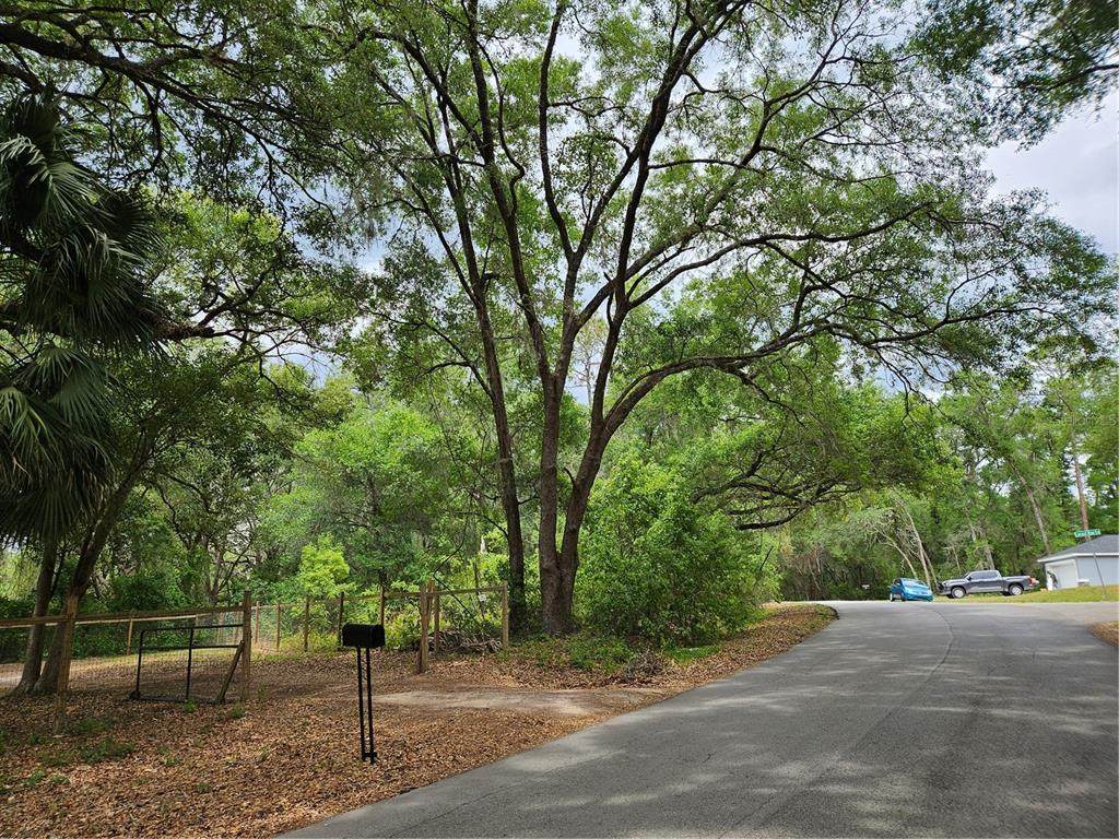 LOT 14 Locust Run Course - Photo 1