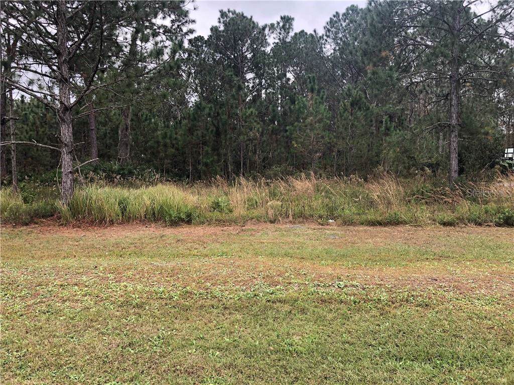 27306 Elkwood Circle - Photo 1