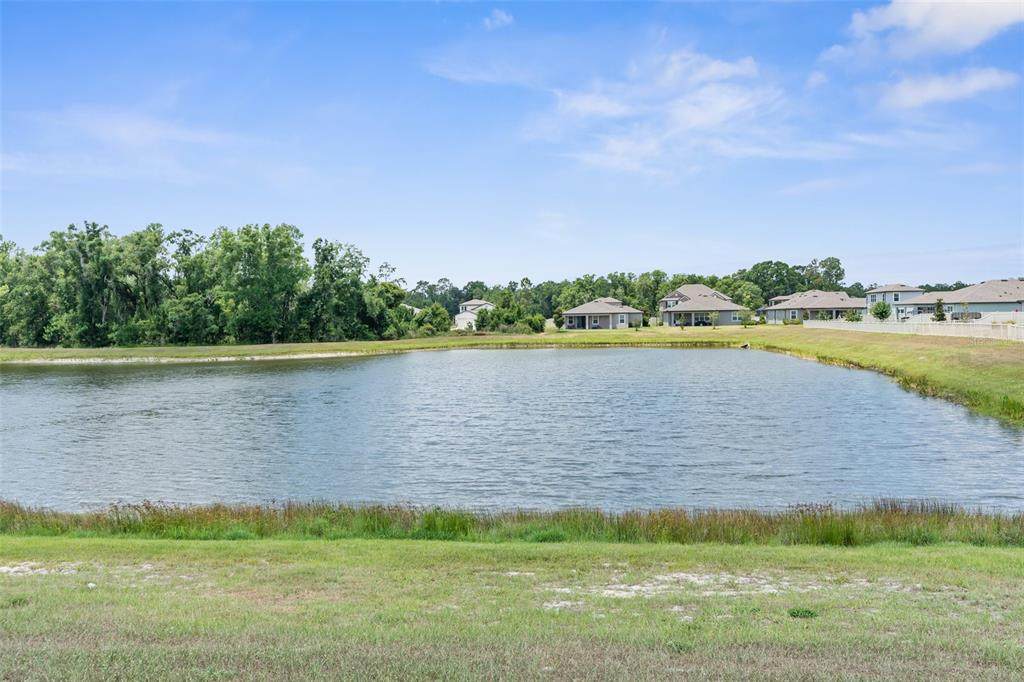 18414 Malinche Loop - Photo 1
