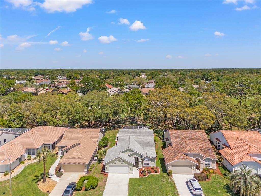 9375 French Quarters Circle - Photo 1