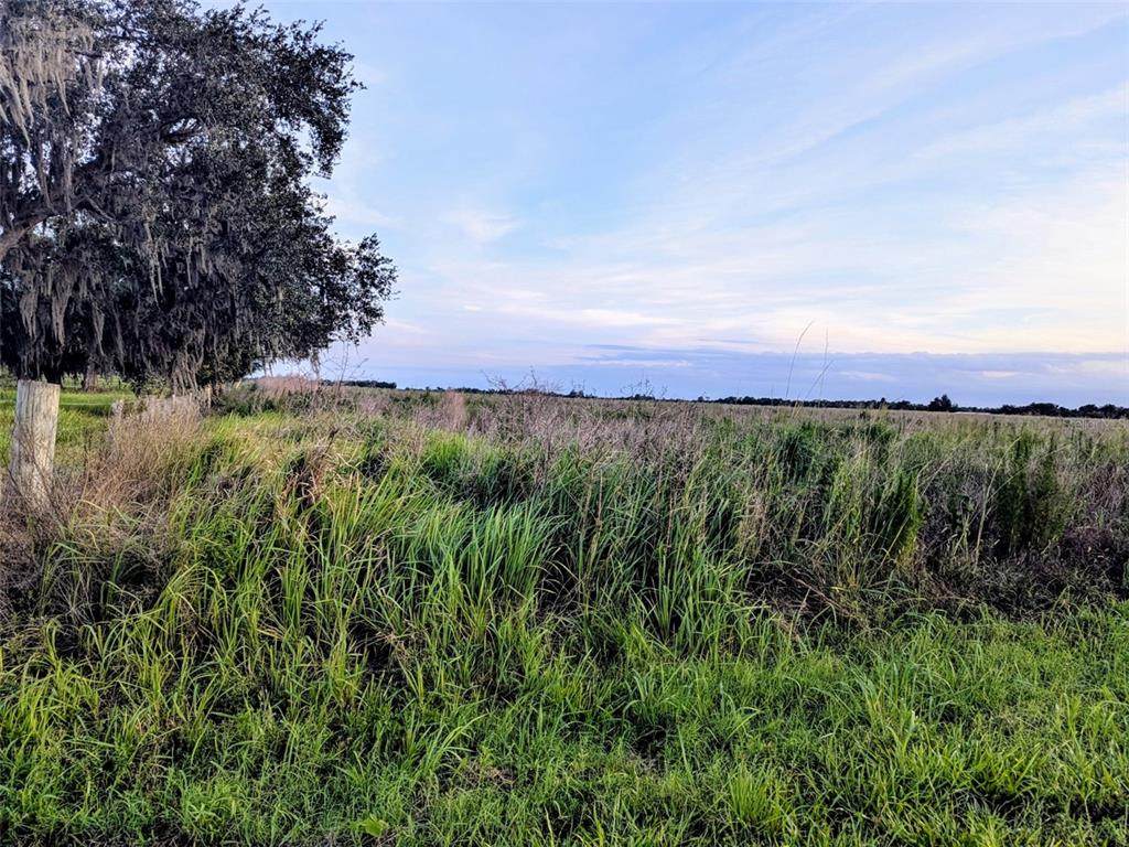  Tom Bryan Rd - Photo 1
