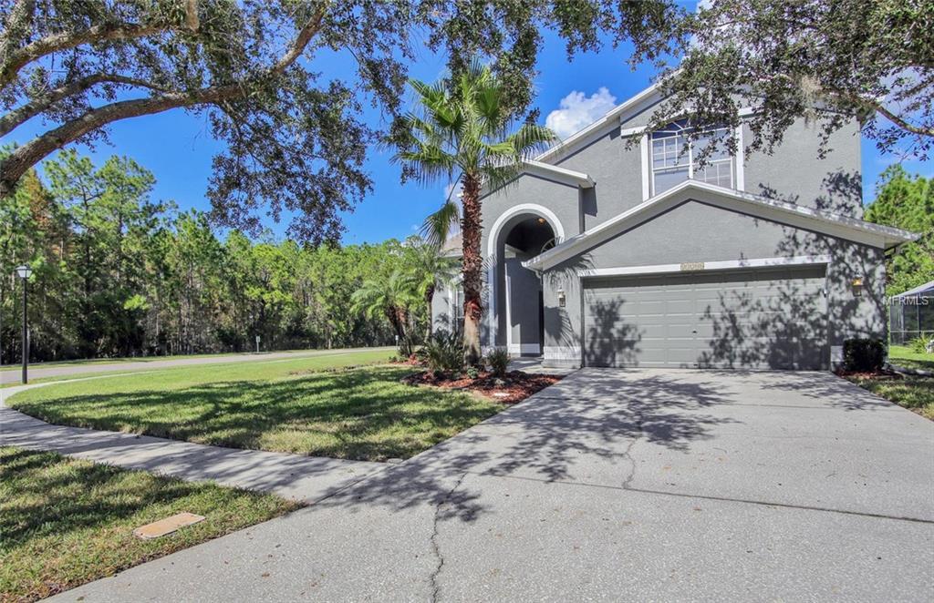 13206 Royal George Avenue - Photo 1