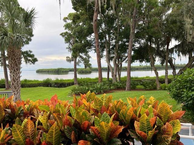 1111 Bayshore Boulevard - Photo 1