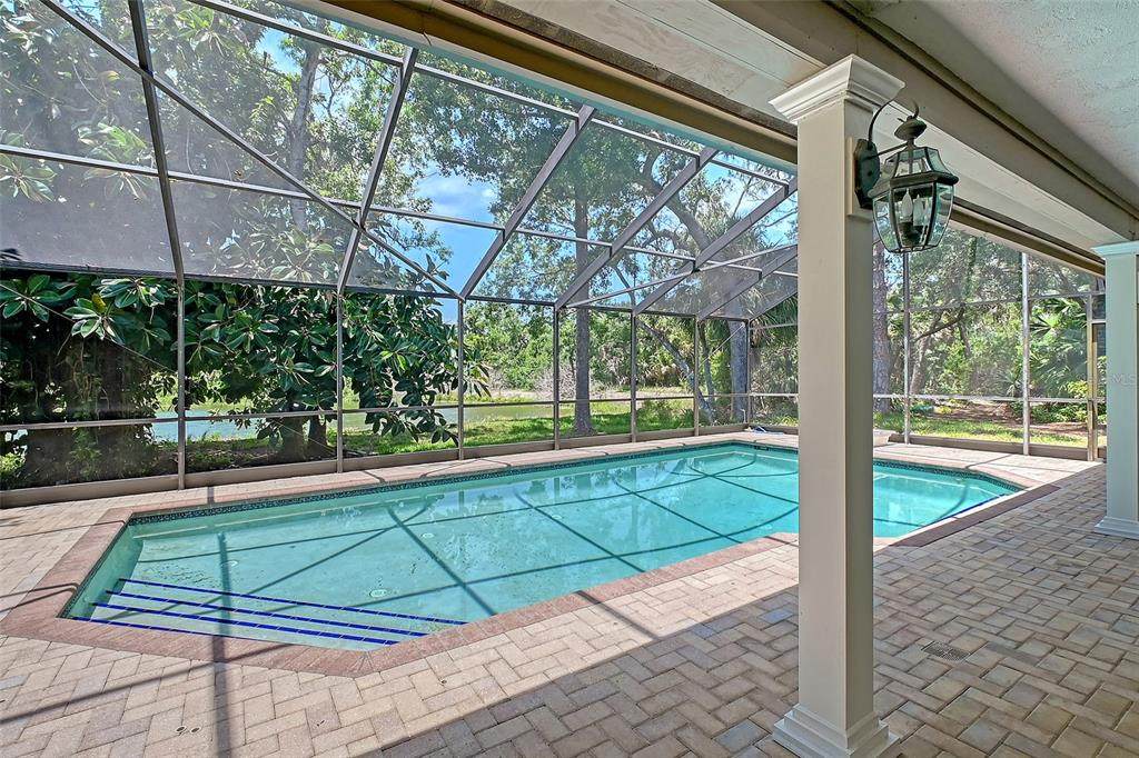 4917 Leatha Lane - Photo 1