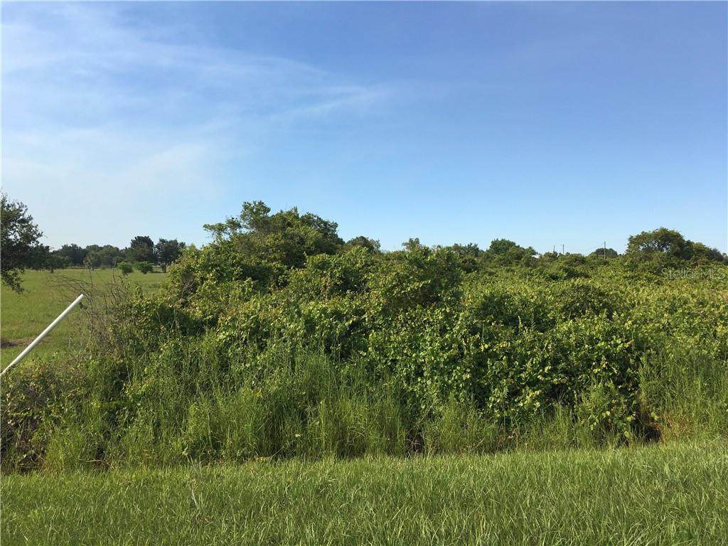 14979 246TH Street - Photo 1