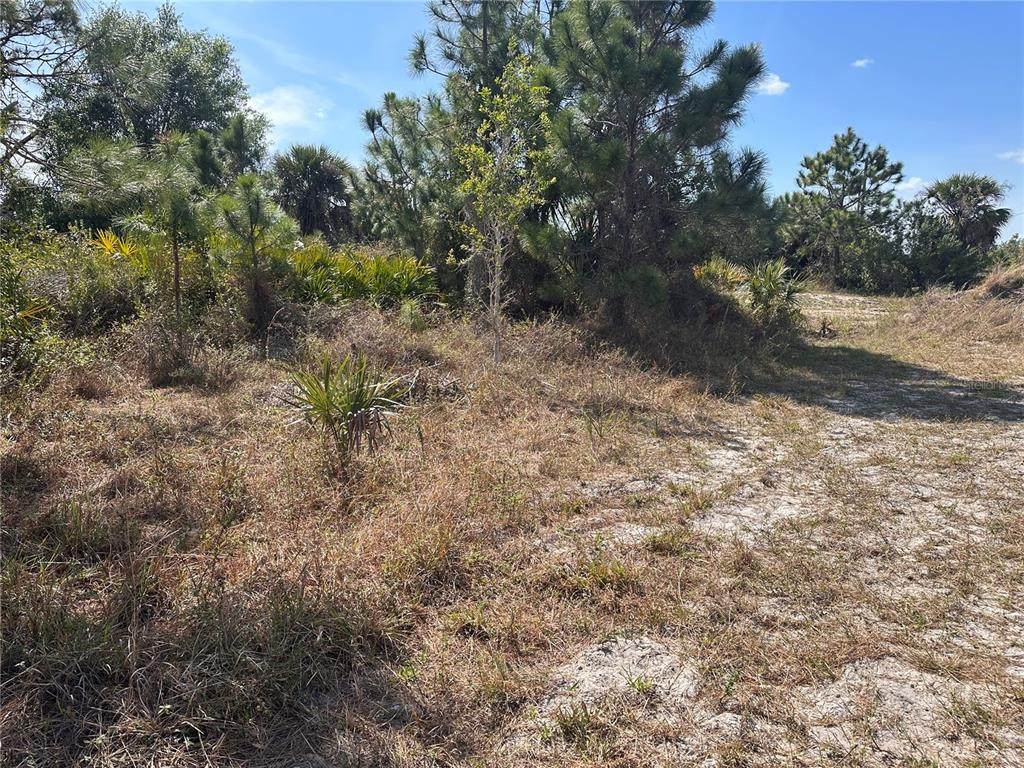 2817 56TH Street - Photo 1