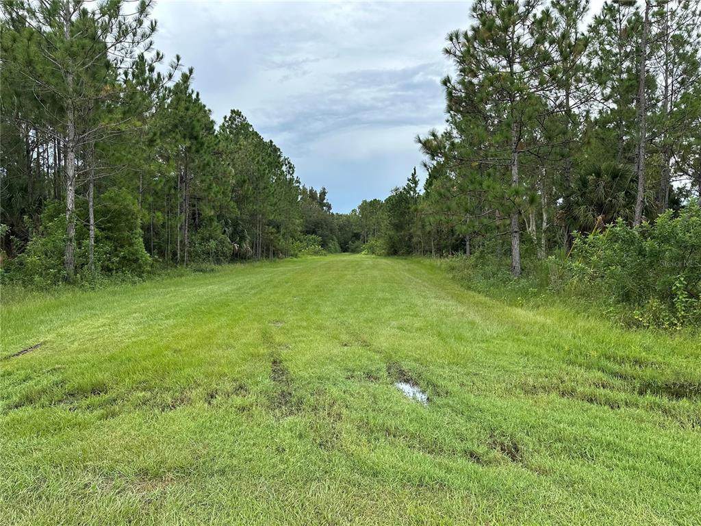 1012 Indian Lake Drive - Photo 1