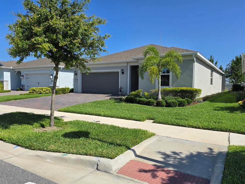 6129 Citrus Grove Court - Photo 1