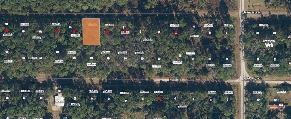 423 Dogwood Avenue - Photo 1