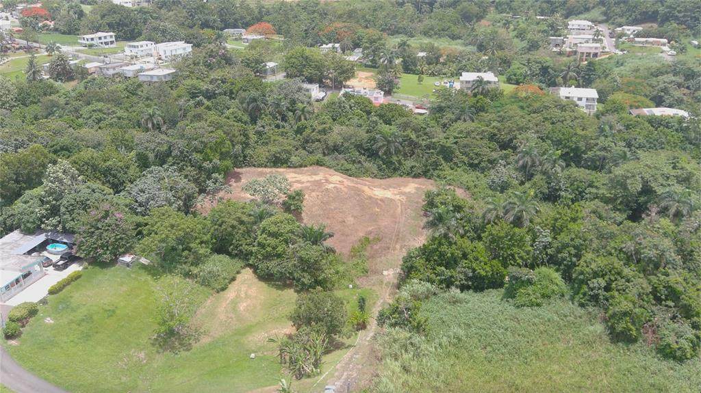 LOT #3 Sr 165 Km 6.3 Int Quebrada Arenas - Photo 1
