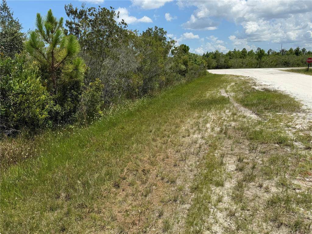  Sarasota Drive - Photo 1