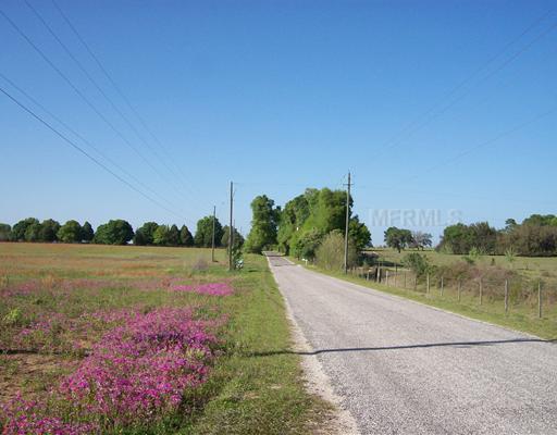 0 Parrish Grove Road - Photo 1