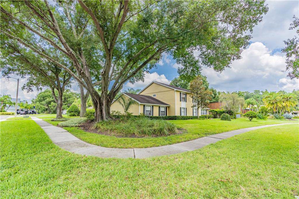 4115 Carrollwood Village Drive - Photo 1