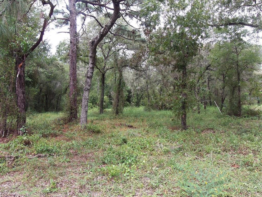 0 Wister Lane - Photo 1