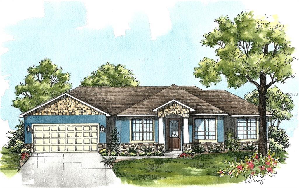 36732 Alaqua Court - Photo 1