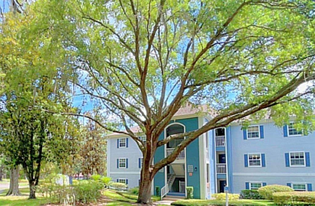 8203 Olympia Court - Photo 1