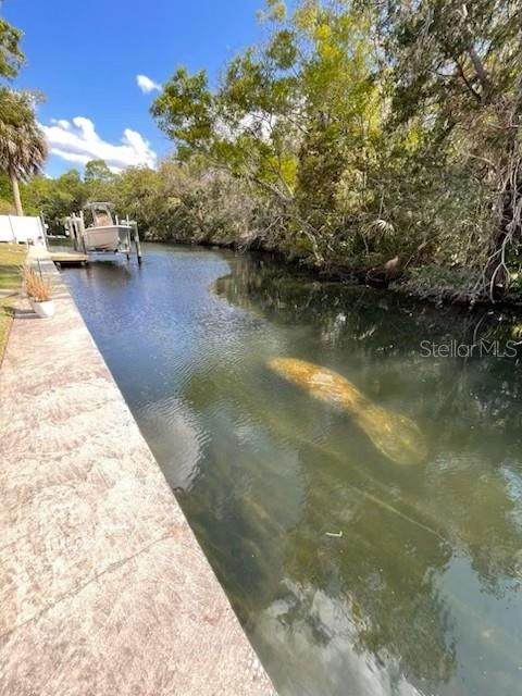 2160 Watersedge Drive - Photo 1