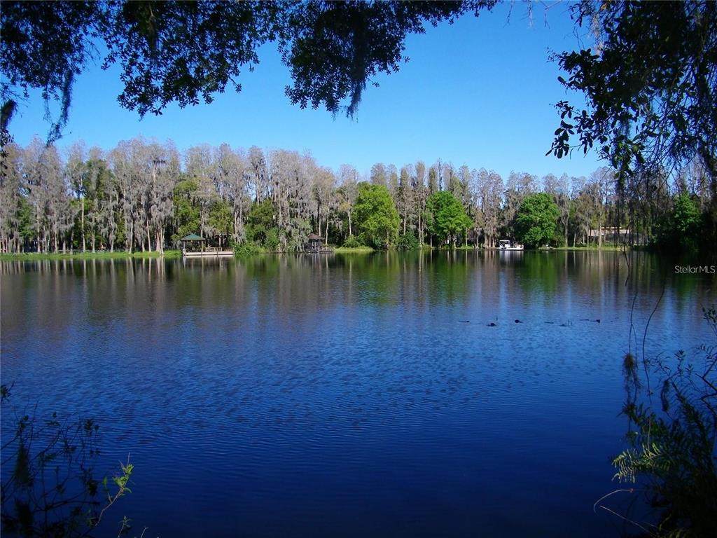 17017 Paula Lane - Photo 1