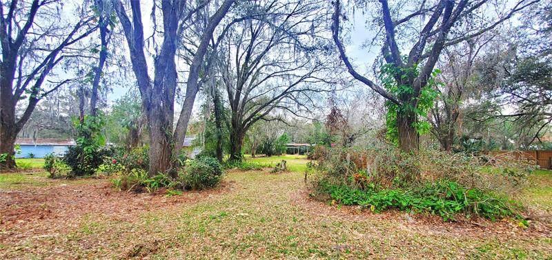 4419 Tevalo Drive - Photo 1