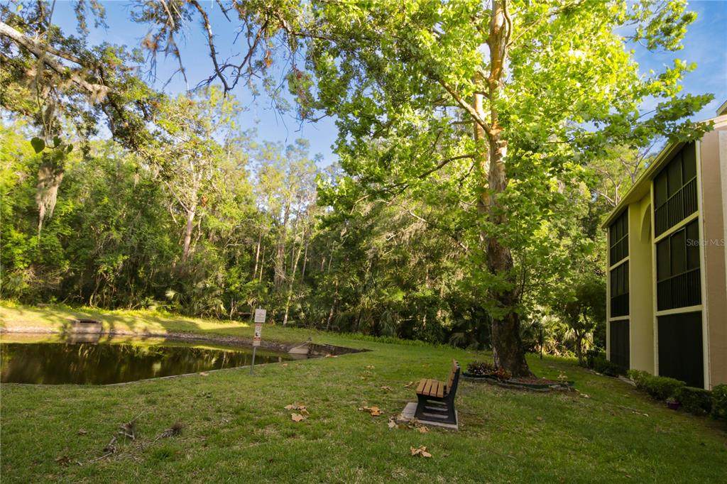 3232 Lake Pine Way - Photo 1