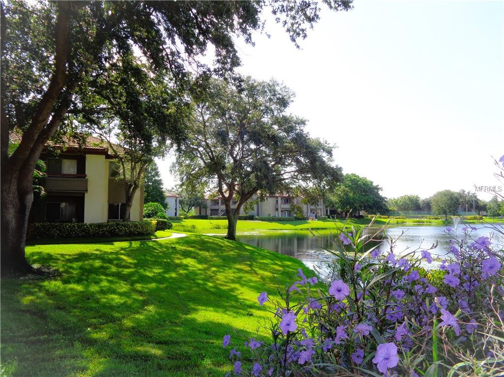 10265 Gandy Boulevard - Photo 1