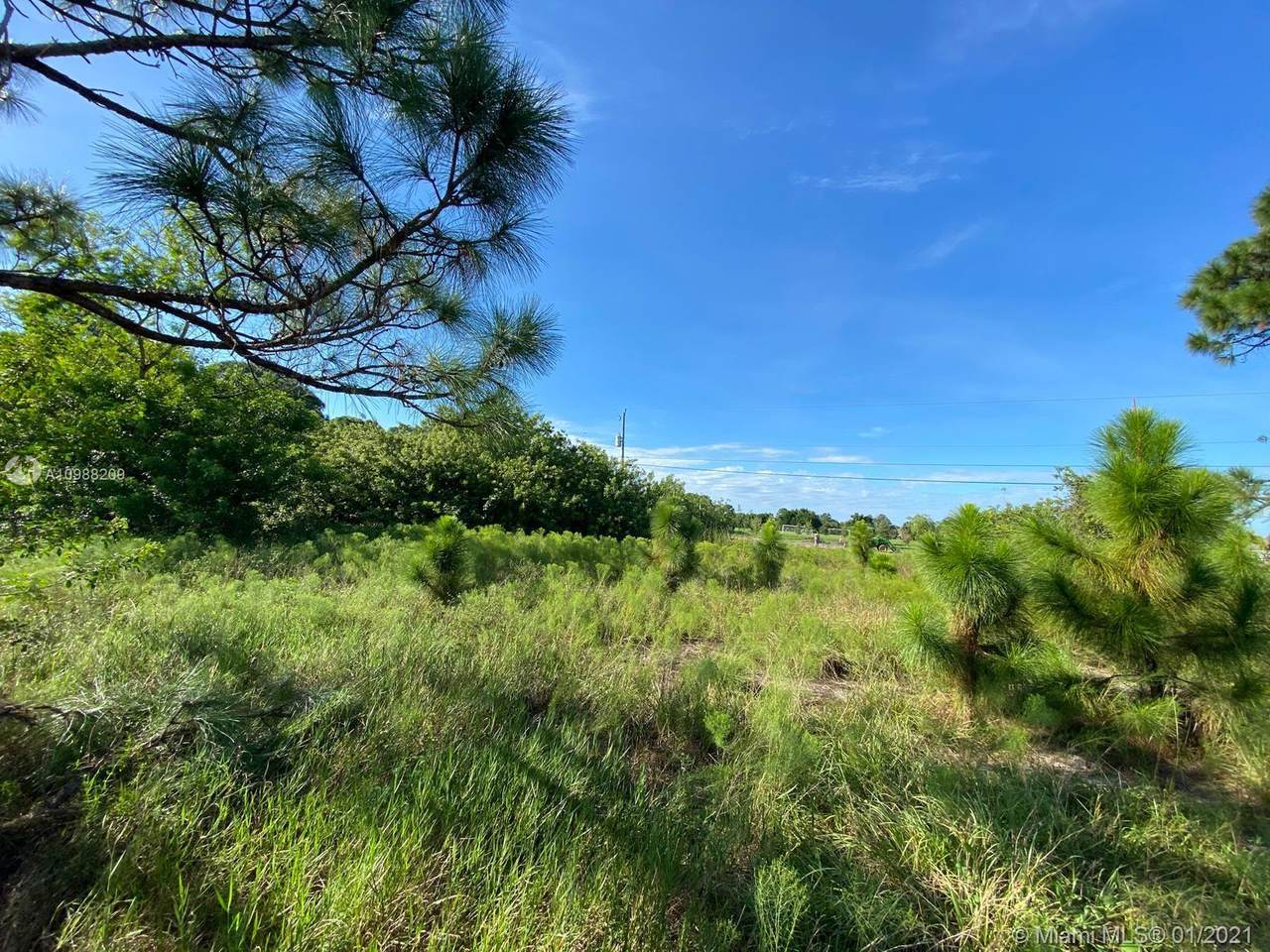 1421 Becker Rd - Photo 1