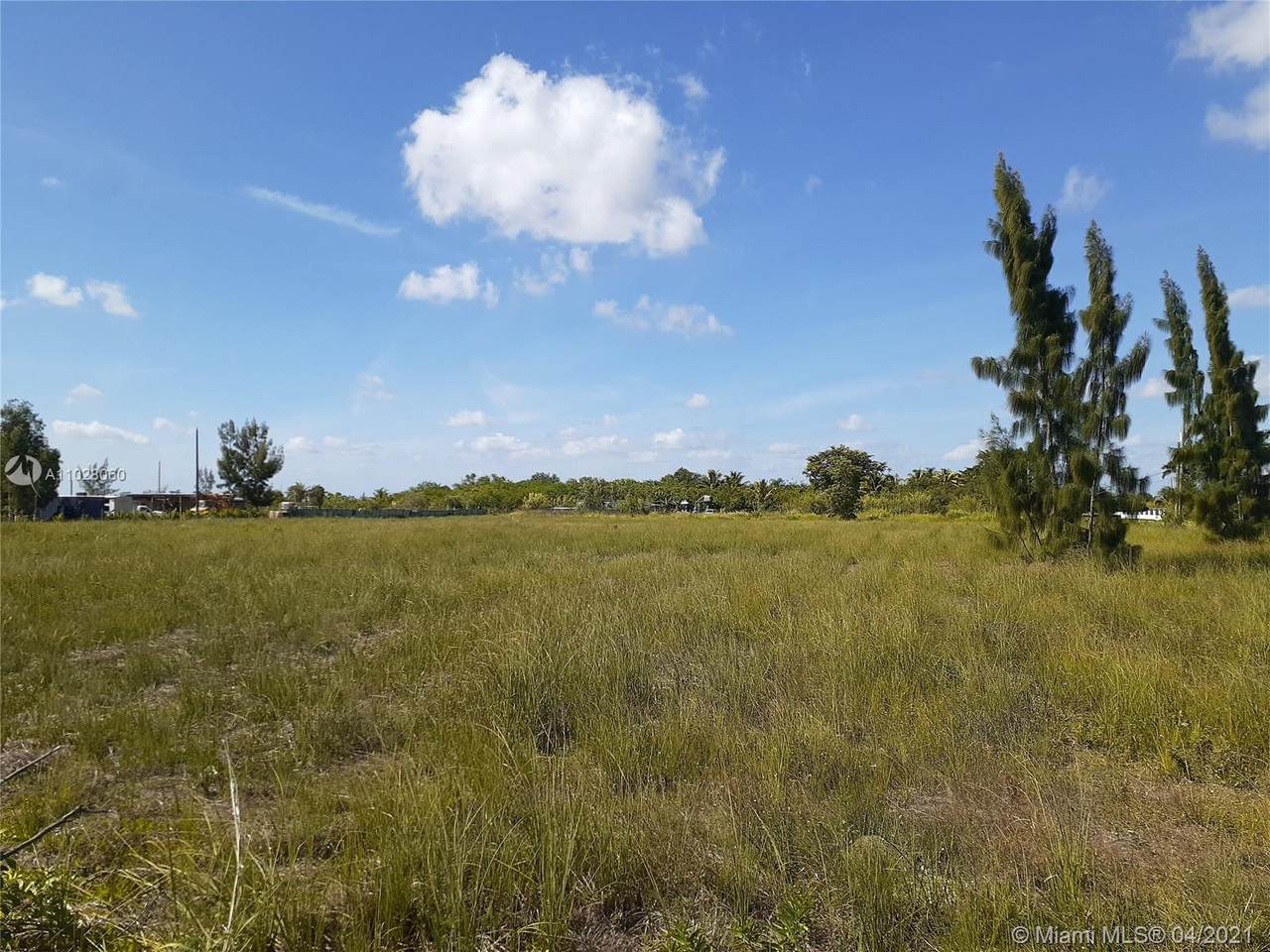 SW 136th Street /207Th Ave - Photo 1