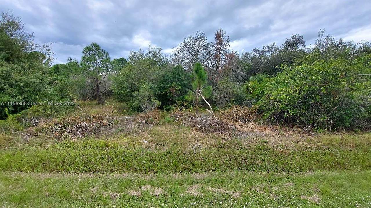 820 N Cabbage Palm St - Photo 1