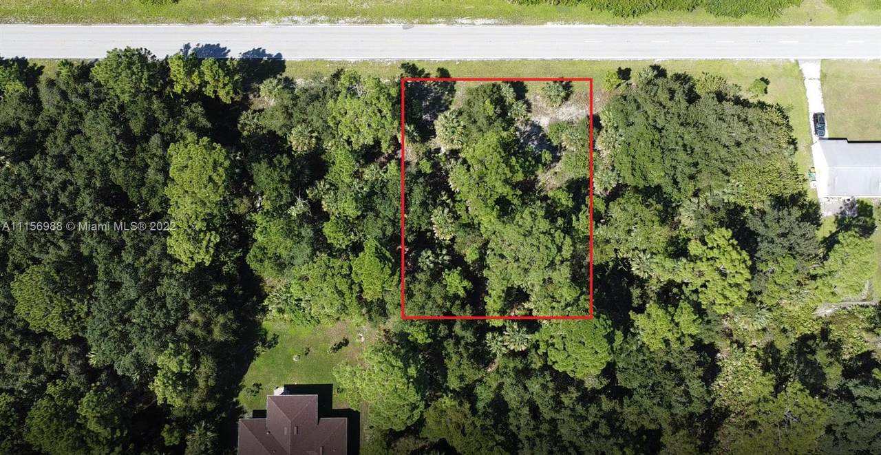 18399 Hillsborough Blvd - Photo 1