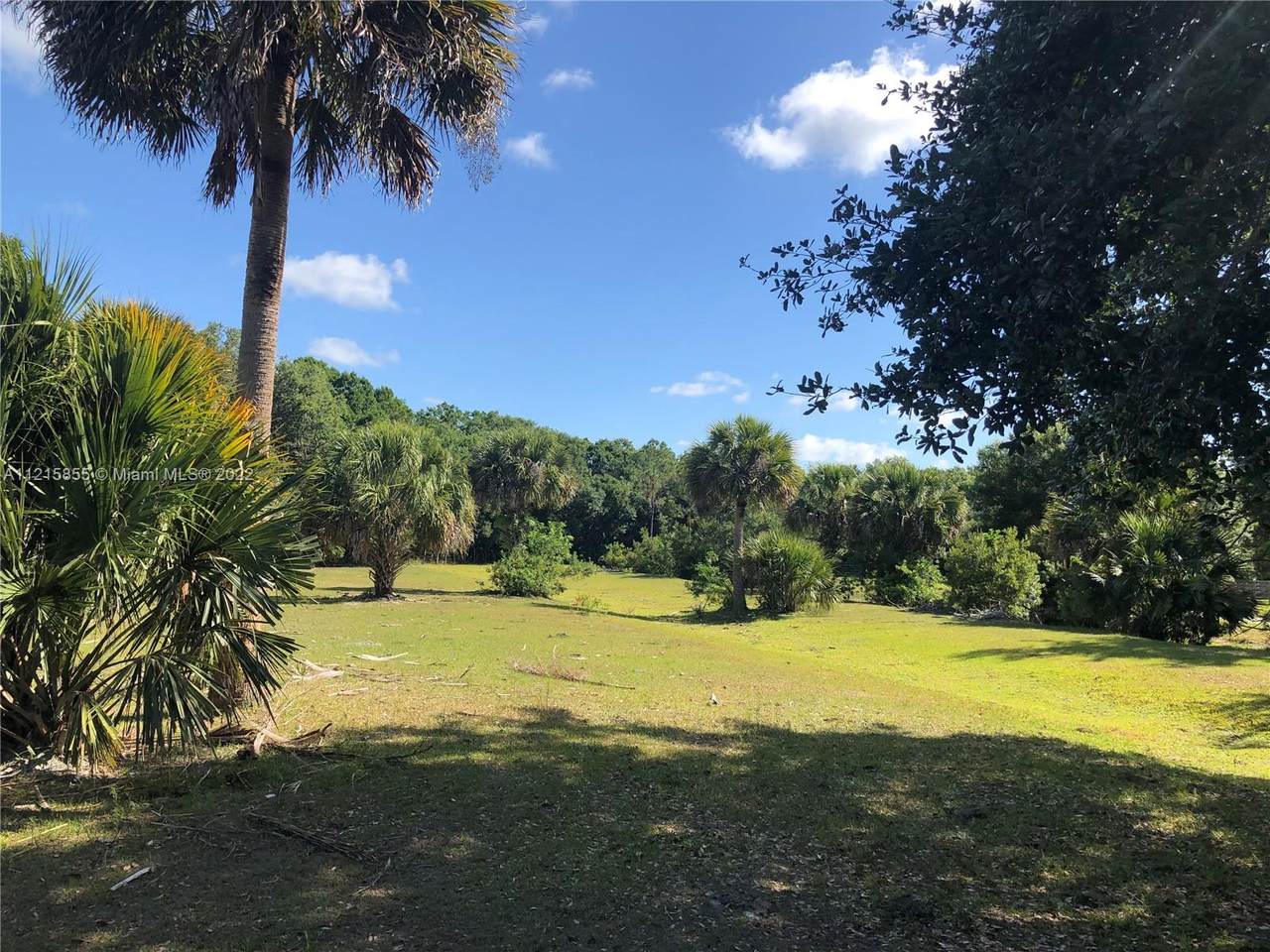26714 Martin Highway - Photo 1
