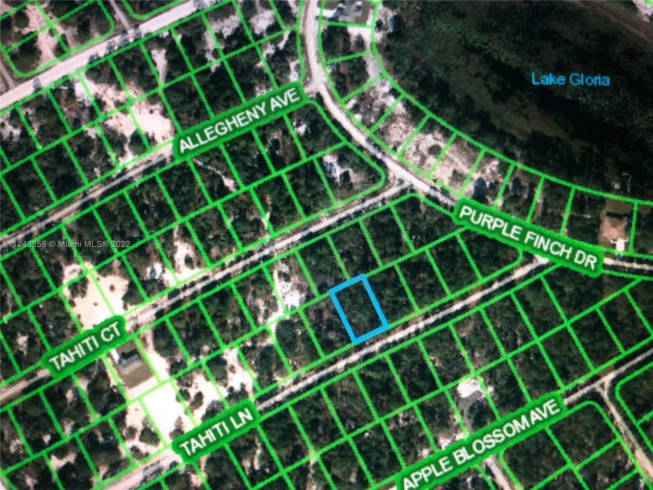 420 Tahiti Ln - Photo 1