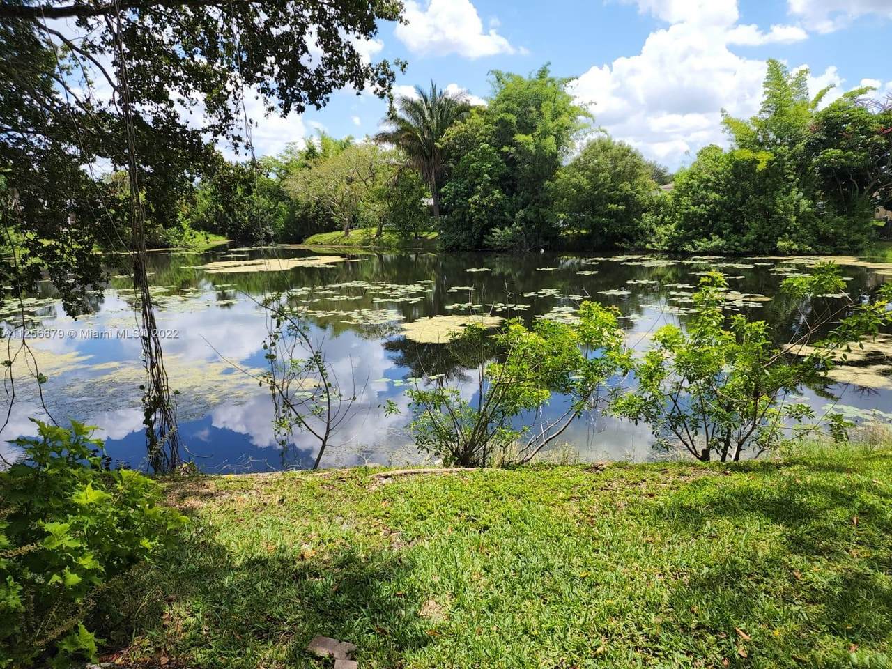 4287 Coral Springs Dr - Photo 1
