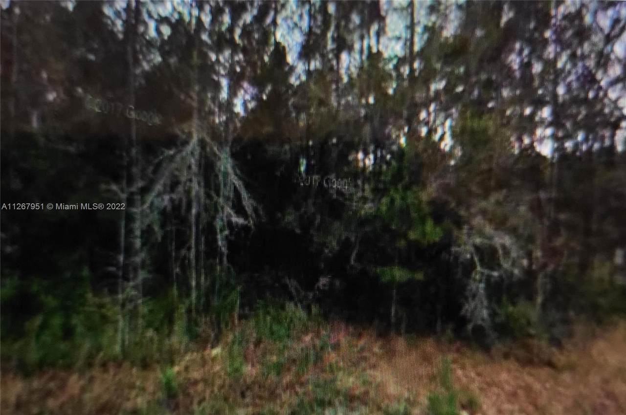 10165 Flikkema Ave - Photo 1