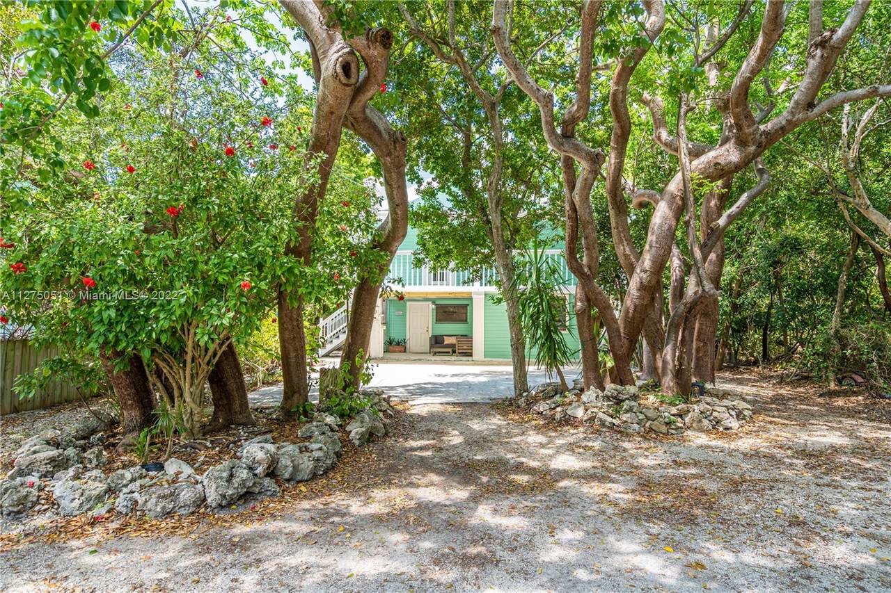 210 Palm Ave - Photo 1