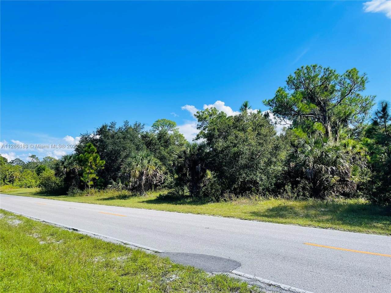 18399 Hillsborough Blvd - Photo 1