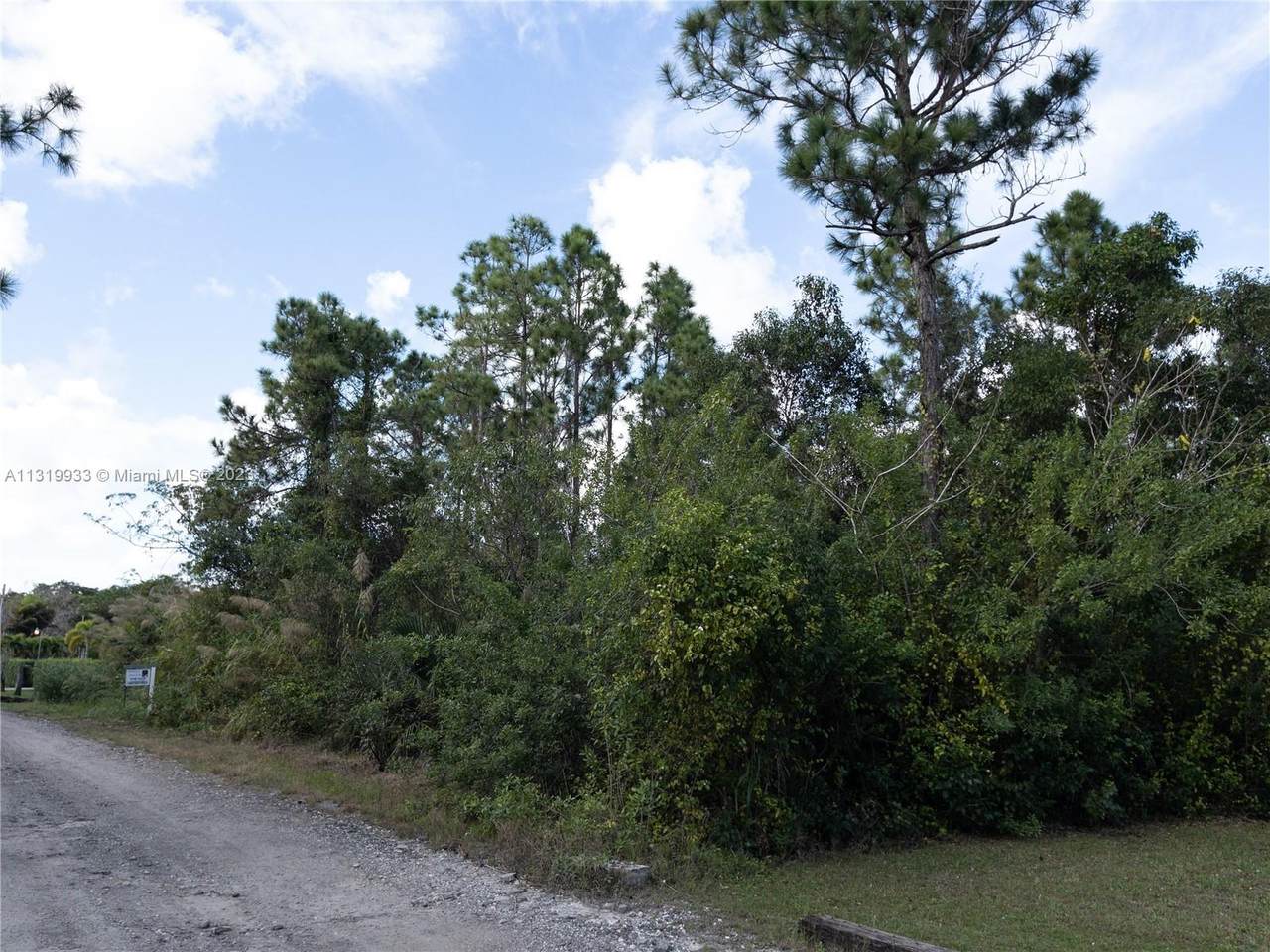 193xx 336 ST - Photo 1