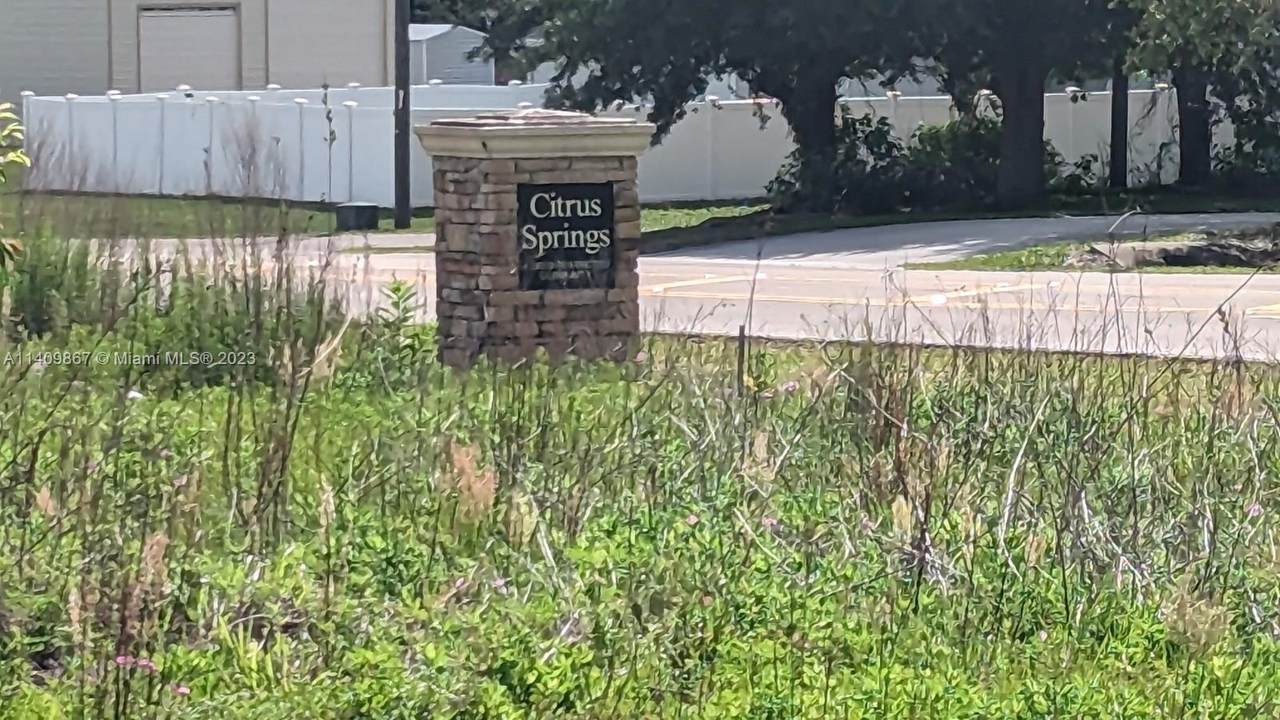 51 Citrus Springs Blvd - Photo 1