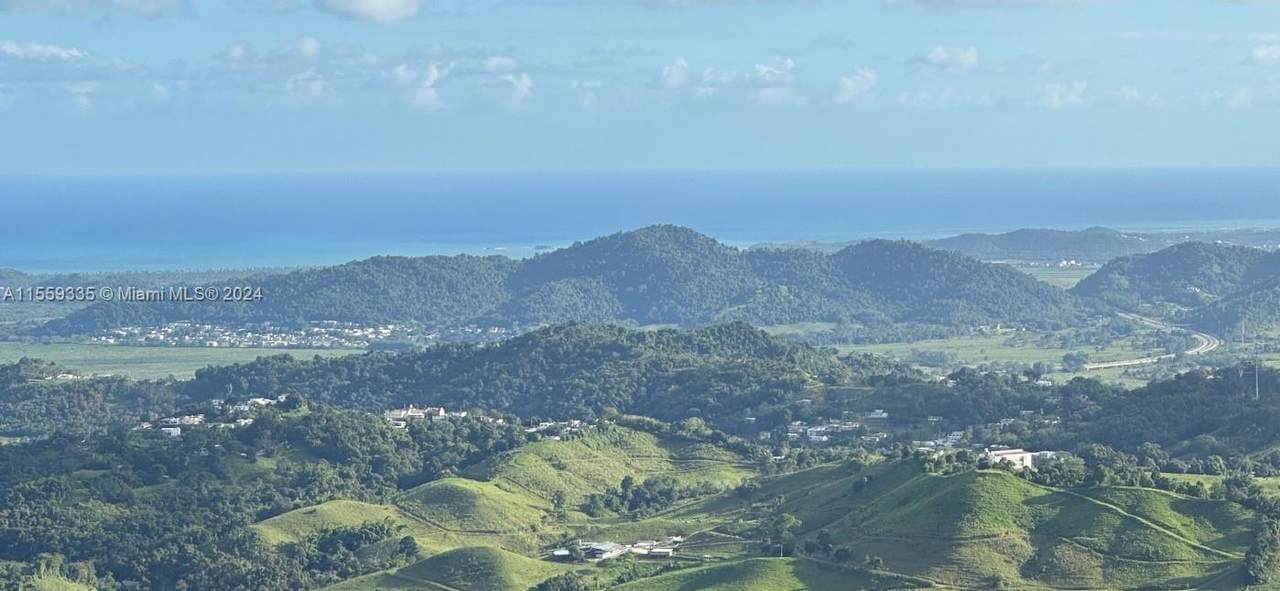 Barrio Anton Ruiz y  - 925,  HUMACAO - Photo 1