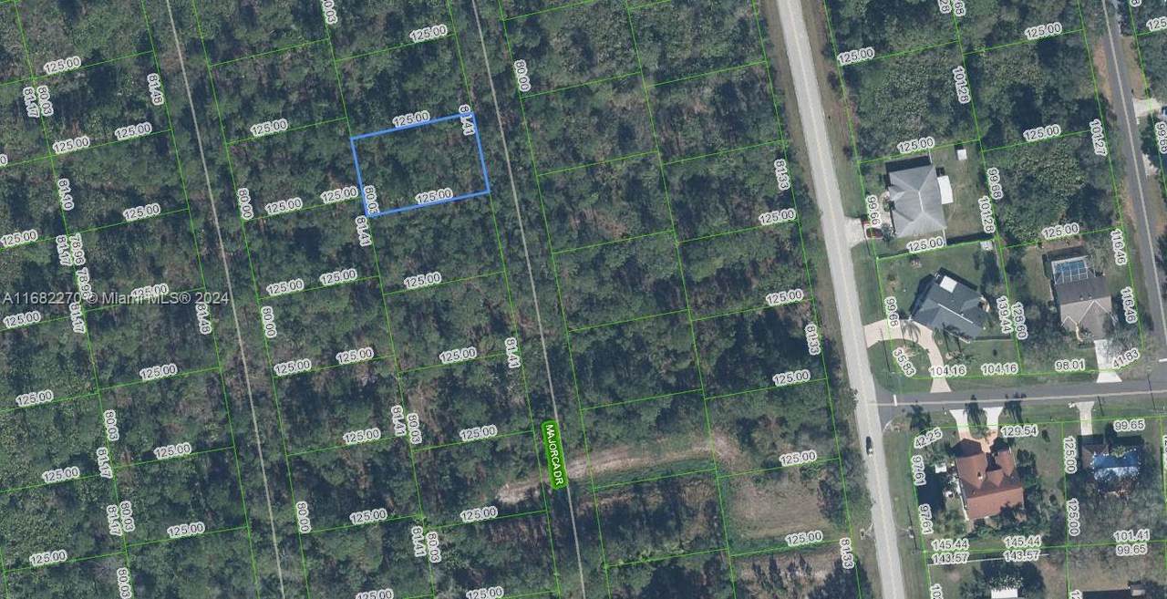 4425 Majorca Drive - Photo 1